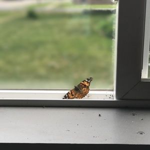 Meet your Posher, Elayne